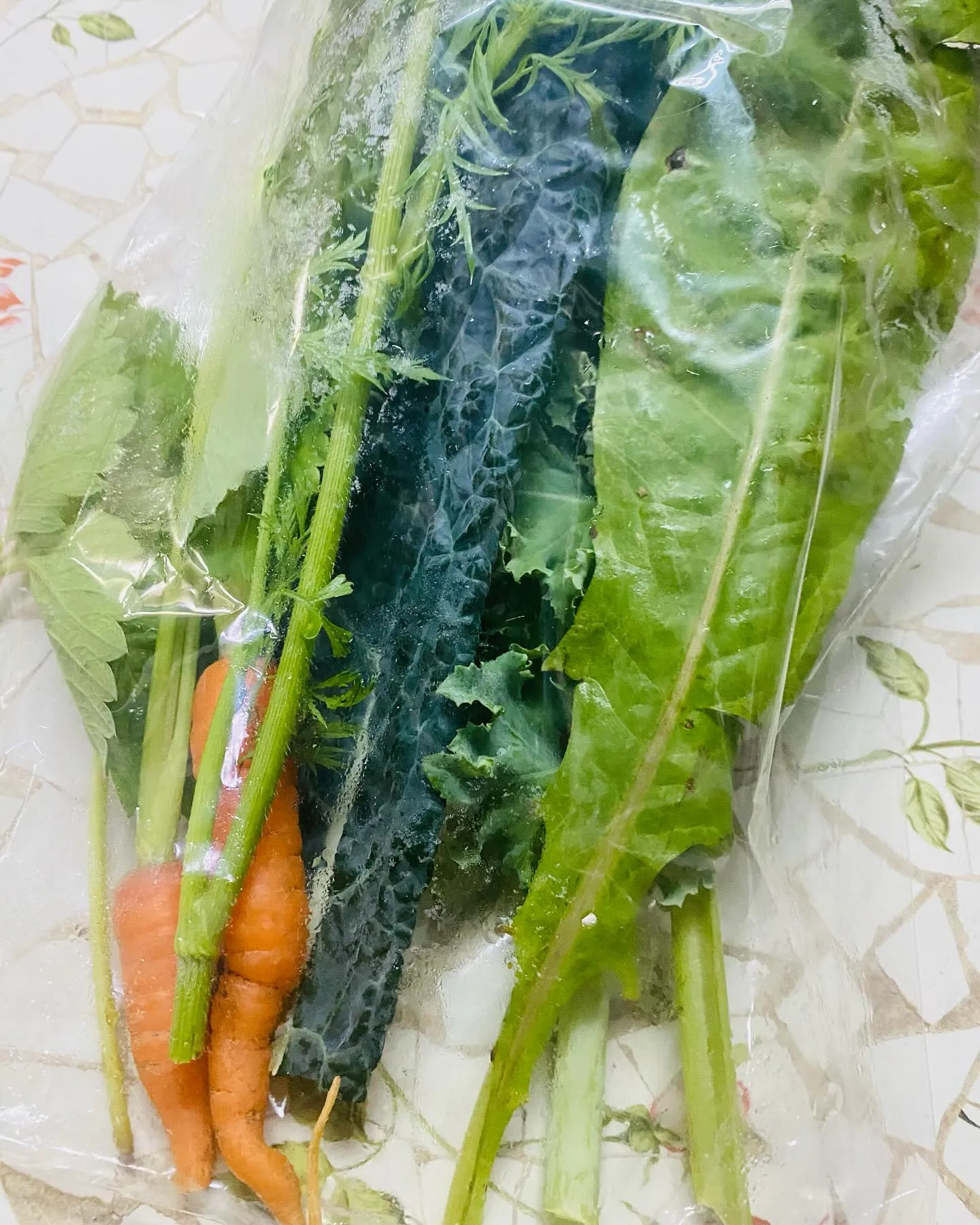 ☆ラキテ葉っぱ☆