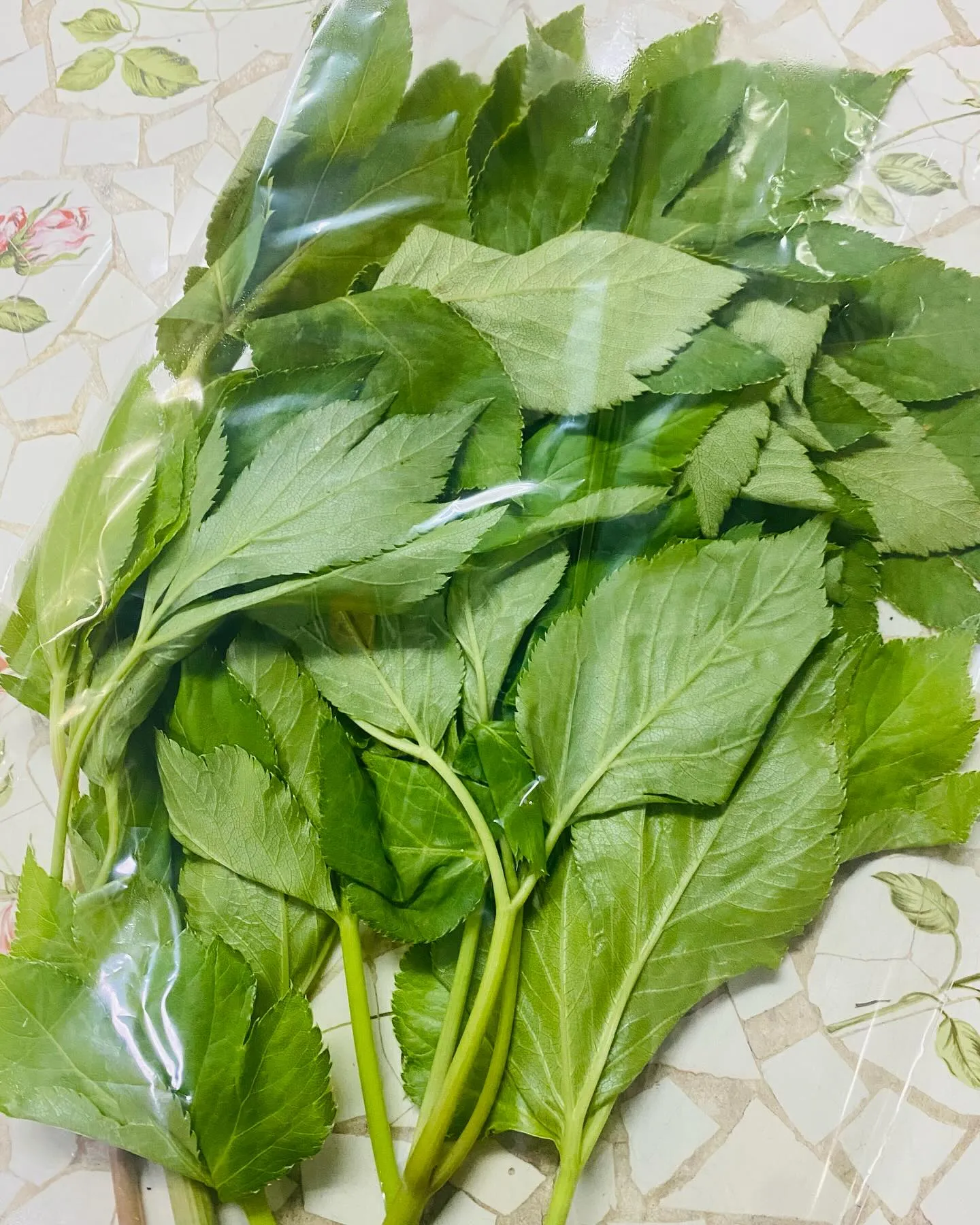 ☆ラキテ葉っぱ☆