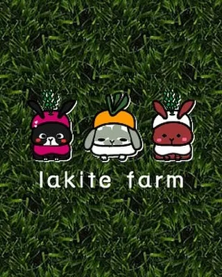 ☆ラキテ葉っぱ☆
