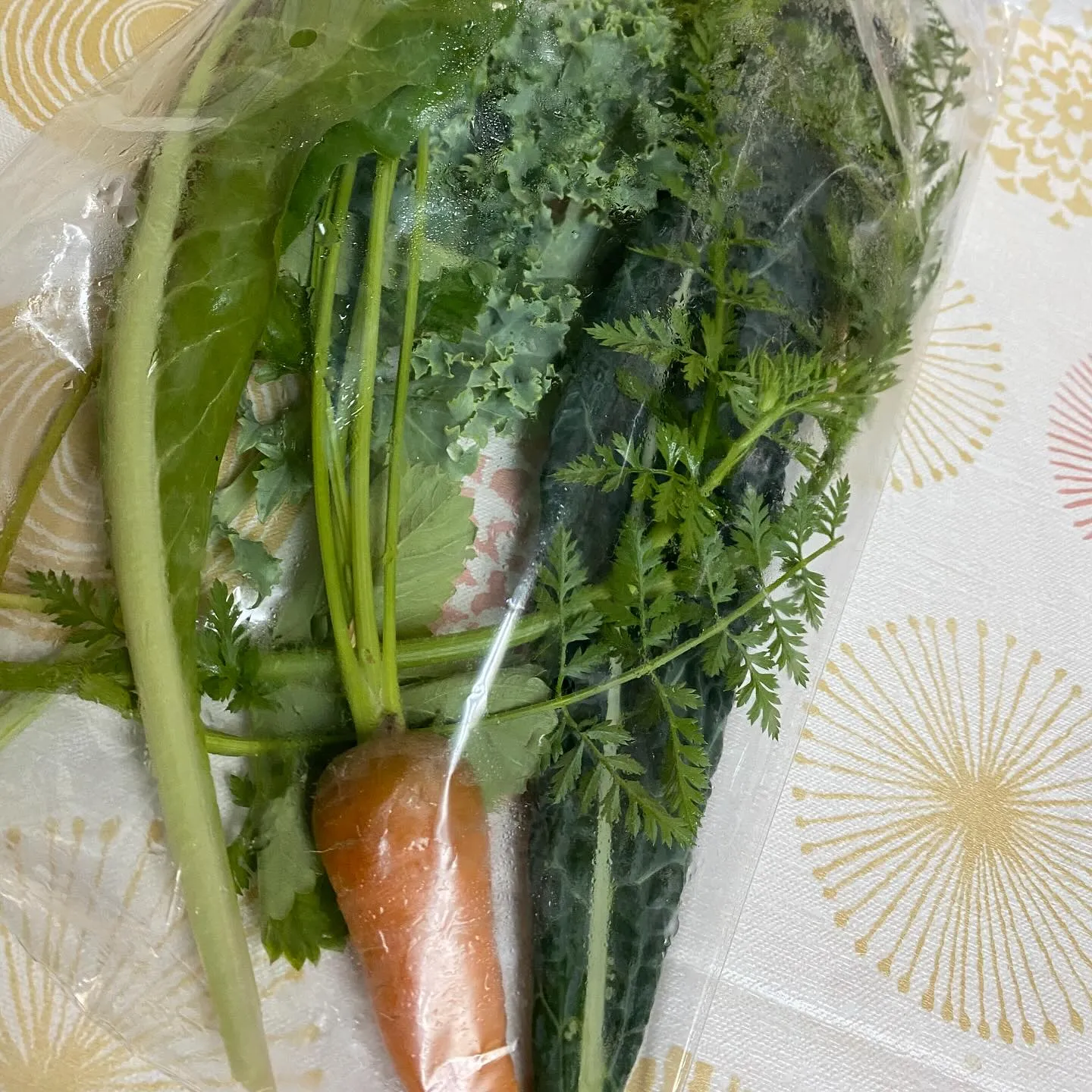 ☆ラキテ葉っぱ☆