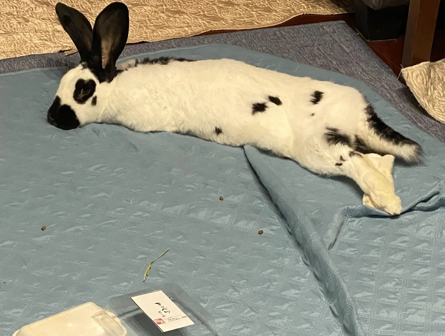 ☆理想と現実☆