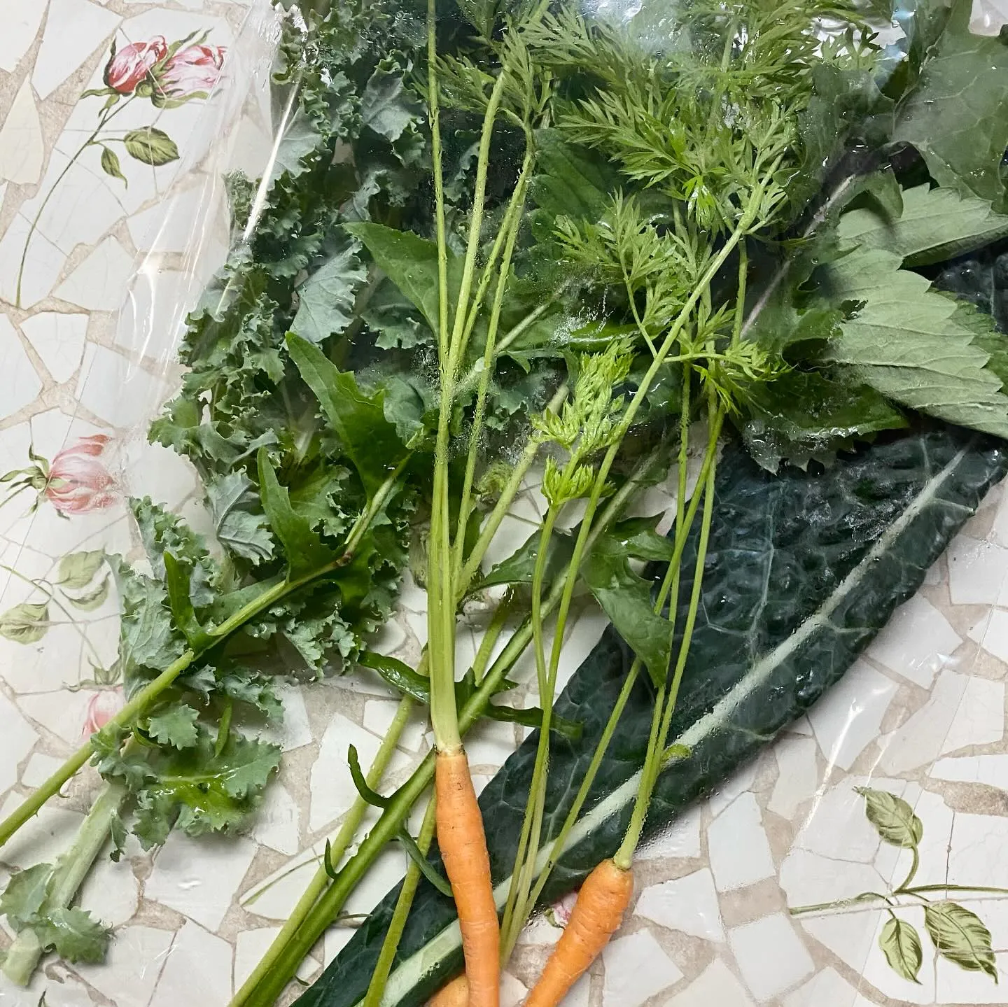☆ラキテ葉っぱ☆