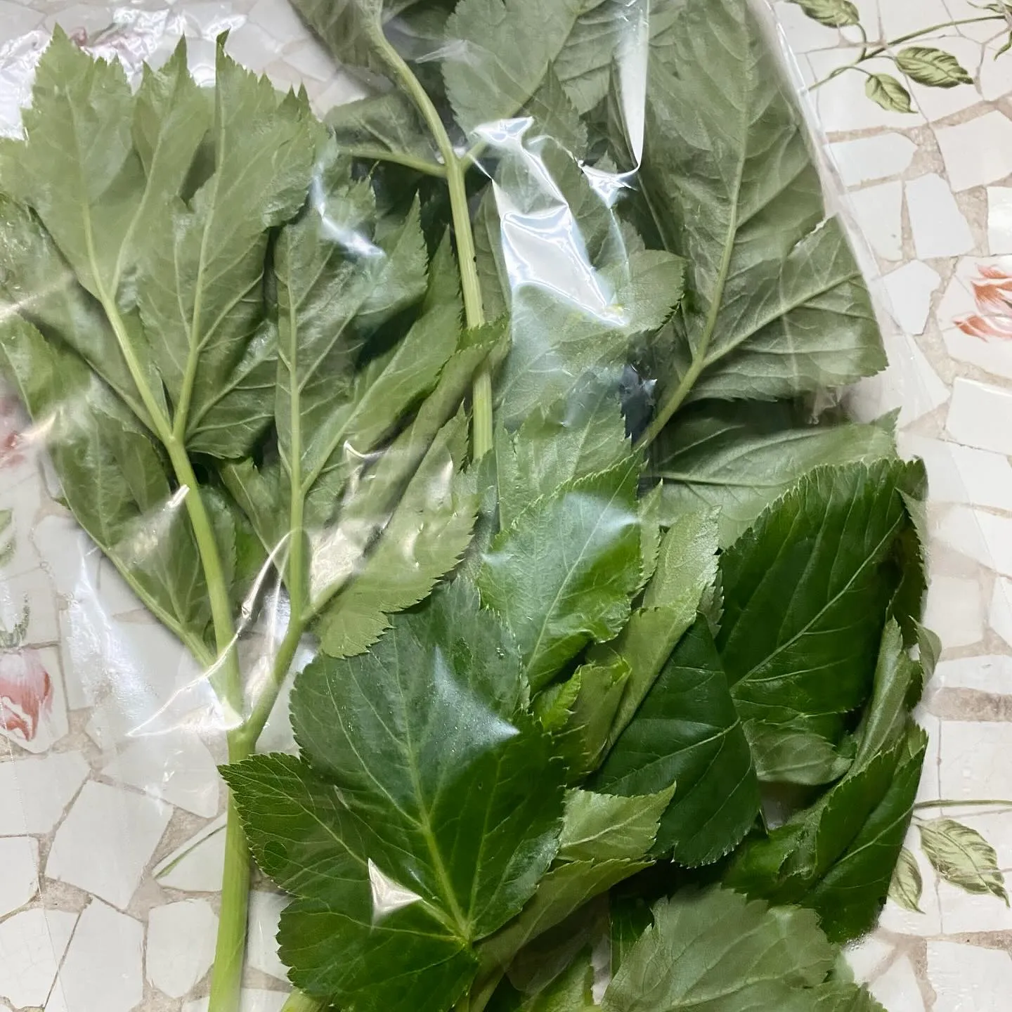 ☆ラキテ葉っぱ☆