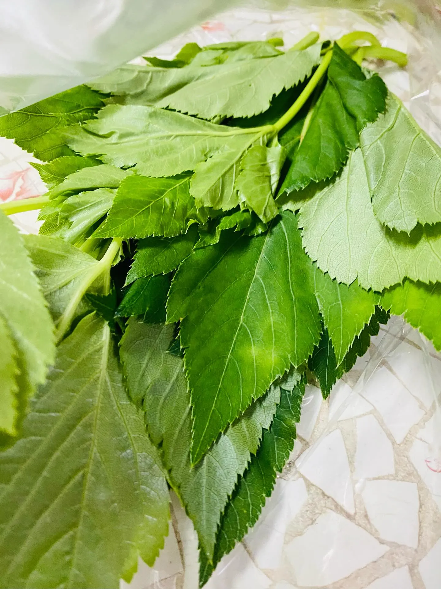 ☆ラキテ葉っぱ☆