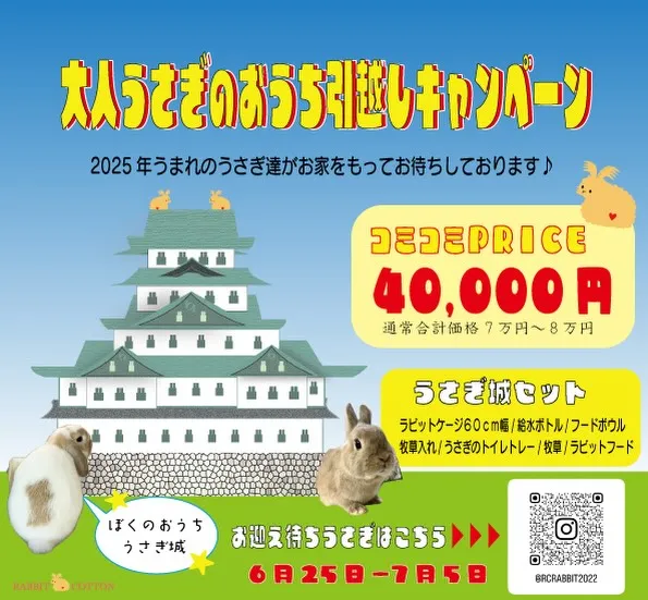 ⭐︎2025年うまれ⭐︎
