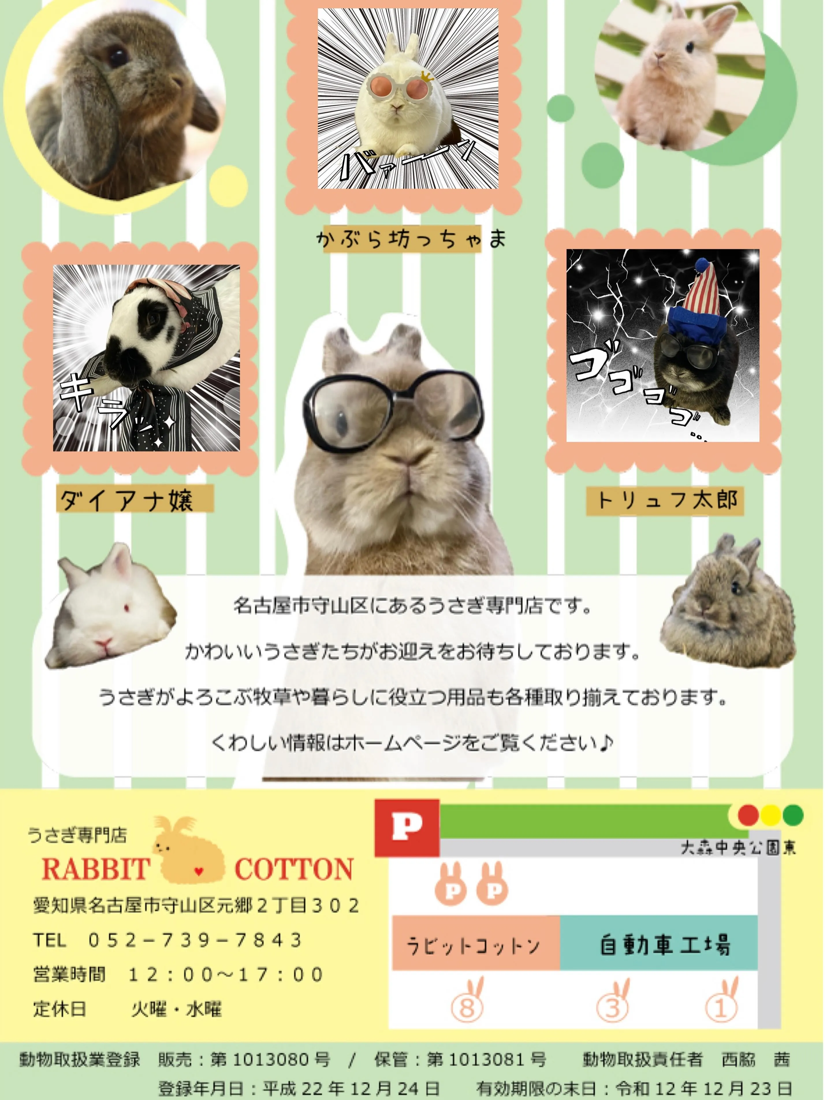 ⭐︎お店のチラシができました⭐︎