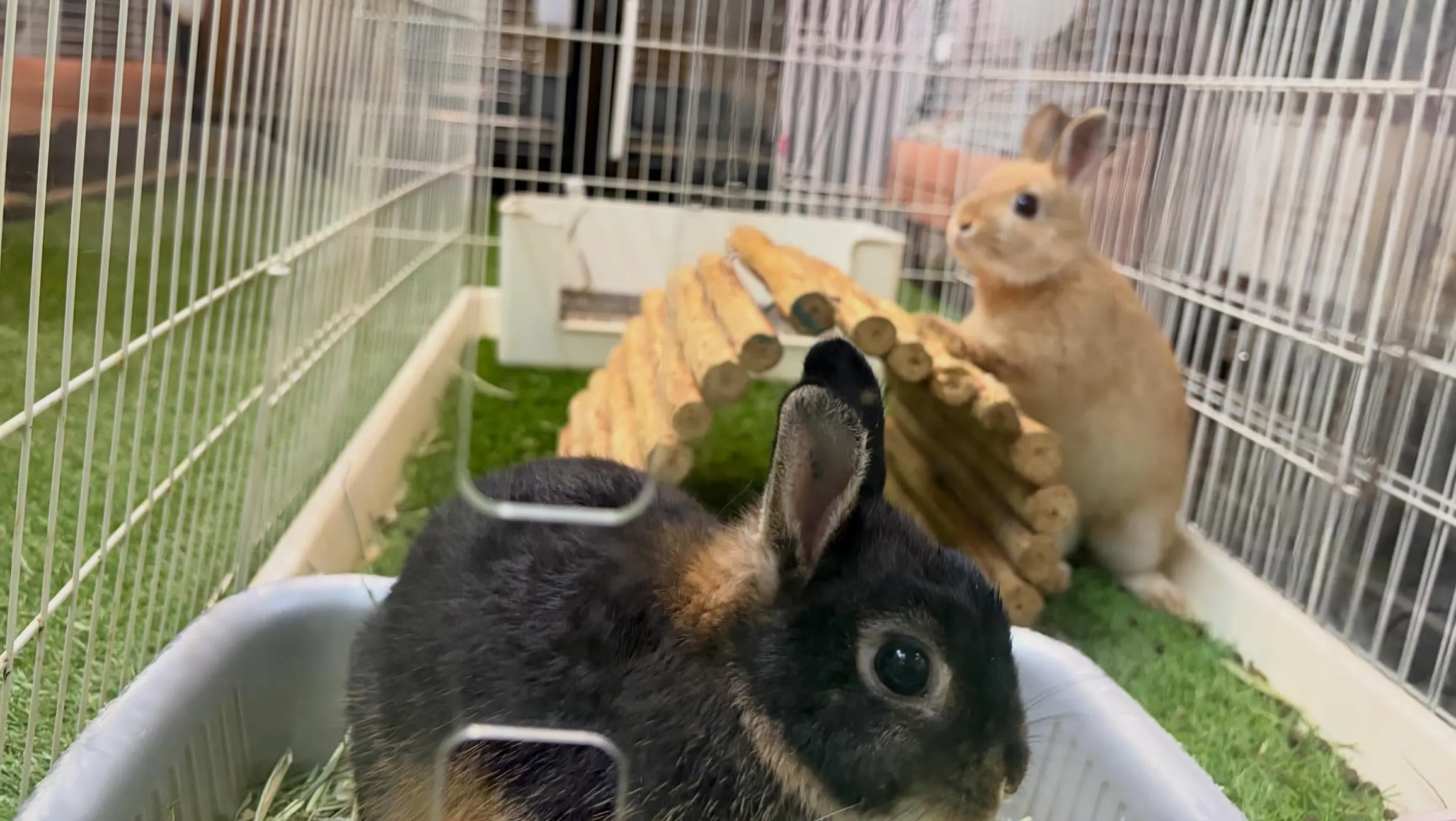 ⭐︎アクリルサークル⭐︎
