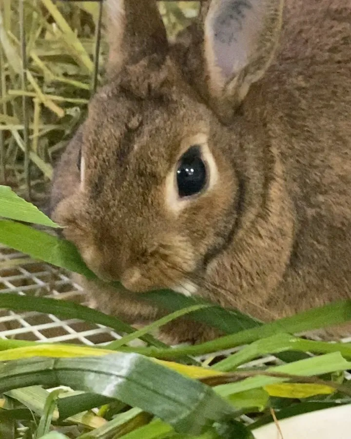 ☆生イタリアン☆