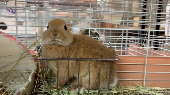 ⭐︎ネザーならでは⭐︎
