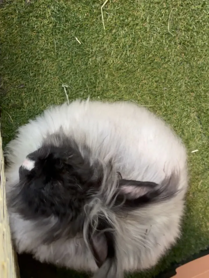 ⭐︎ビフォーアフター⭐︎